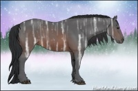 Horse Color:Brown Ice Sabino 