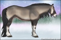 Horse Color:Blue Onyx 