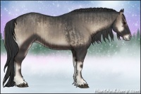 Horse Color:Smoky Blue Onyx and Blue Onyx