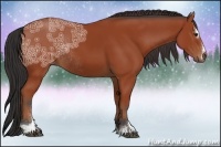 Horse Color:Bay Ice Sabino Rabicano