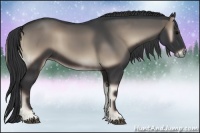 Horse Color:Blue Onyx 