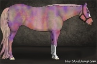 Horse Color:Nacre Watercolor Liver Chestnut 