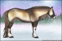 Horse Color:Liver Red Onyx Rabicano