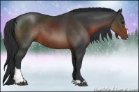 Horse Color:Brown Sabino Rabicano 