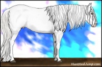Horse Color:Silver Buckskin Dun Splash Tobiano Appaloosa
