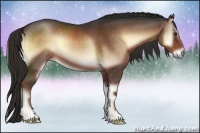 Horse Color:Liver Red Onyx 