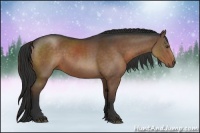 Horse Color:Liver Chestnut Rabicano