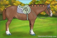 Horse Color:Chestnut Sabino Rabicano 