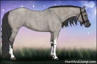 Horse Color:Grullo Roan Tobiano
