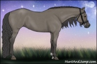 Horse Color:Smoky Grullo Roan 