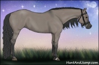 Horse Color:Grullo Roan 