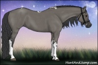 Horse Color:Grullo Roan Tobiano Rabicano 