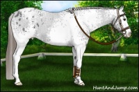 Horse Color:White Spotted Smoky Blue Roan Blanket 