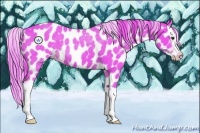 Horse Color:Watercolor Liver Chestnut Sabino Splash Appaloosa