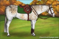 Horse Color:Buckskin Sabino Appaloosa  and White Spotted Buckskin Dun Splash 