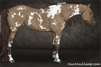 Horse Color:White Spotted Liver Red Dun 