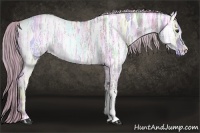 Horse Color:Watercolor Red Dun Ice Roan
