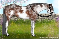 Horse Color:White Spotted Bay Frame