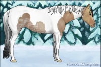 Horse Color:Bay Ice Tobiano 
