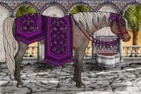 Horse Color:Silver Brown Roan 