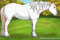 Horse Color:Chestnut Sabino Splash Tobiano Varnish Rabicano 