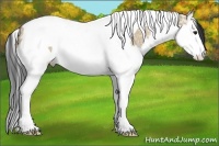 Horse Color:Bay Ice Dun Splash Tobiano