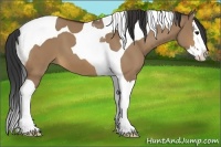 Horse Color:Bay Dun Splash Tobiano 