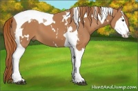 Horse Color:White Spotted Chestnut Splash Tobiano