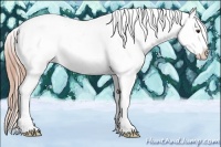 Horse Color:Chestnut Sabino Splash Varnish 