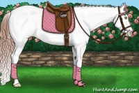 Horse Color:Sable Champagne Fewspot 