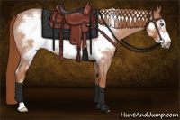 Horse Color:Red Roan Frame