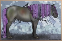 Horse Color:Painted Grullo 