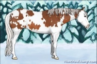 Horse Color:White Spotted Silver Bay Splash