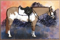 Horse Color:Red Dun Frame 