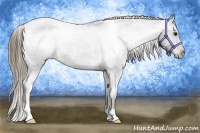 Horse Color:Smoky Blue Roan Varnish Rabicano 