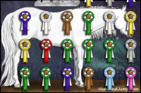 Horse Color:Gray Smoky Black Rabicano 