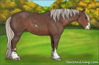 Horse Color:Silver Black Sabino 