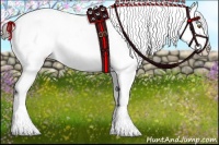 Horse Color:Liver Chestnut Sabino Appaloosa 