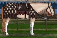 Horse Color:Buckskin Pearl 