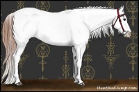 Horse Color:Bay Roan Near Leopard 