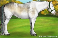 Horse Color:Plaid  White Spotted Liver Red Onyx Sabino Splash Rabicano 
