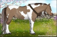 Horse Color:Liver Red Dun Tobiano Rabicano 