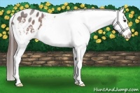 Horse Color:Brown Roan Varnish 