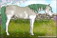 Horse Color:Watercolor Classic Champagne Splash 