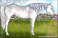 Horse Color:Watercolor Silver Bay Roan Onyx Splash