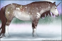 Horse Color:White Spotted Chocolate Brown Chinchilla Rabicano
