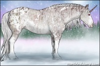 Horse Color:White Spotted Chocolate Silver Brown Chinchilla  and White Spotted Chocolate Silver Black Chinchilla Appaloosa 