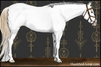 Horse Color:Chestnut Pearl Tobiano Appaloosa 