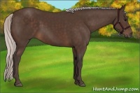 Horse Color:Silver Brown 