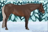 Horse Color:Silver Brown 